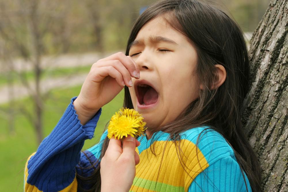 Child sneezing, Is it allergies or something more?