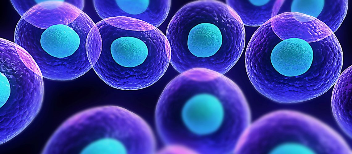 3-Dimethylaminophenol Cell wall | Shaanxi BLOOM Tech Co., Ltd 3-Dimethylaminophenol Cell wall | Shaanxi BLOOM Tech Co., Ltd