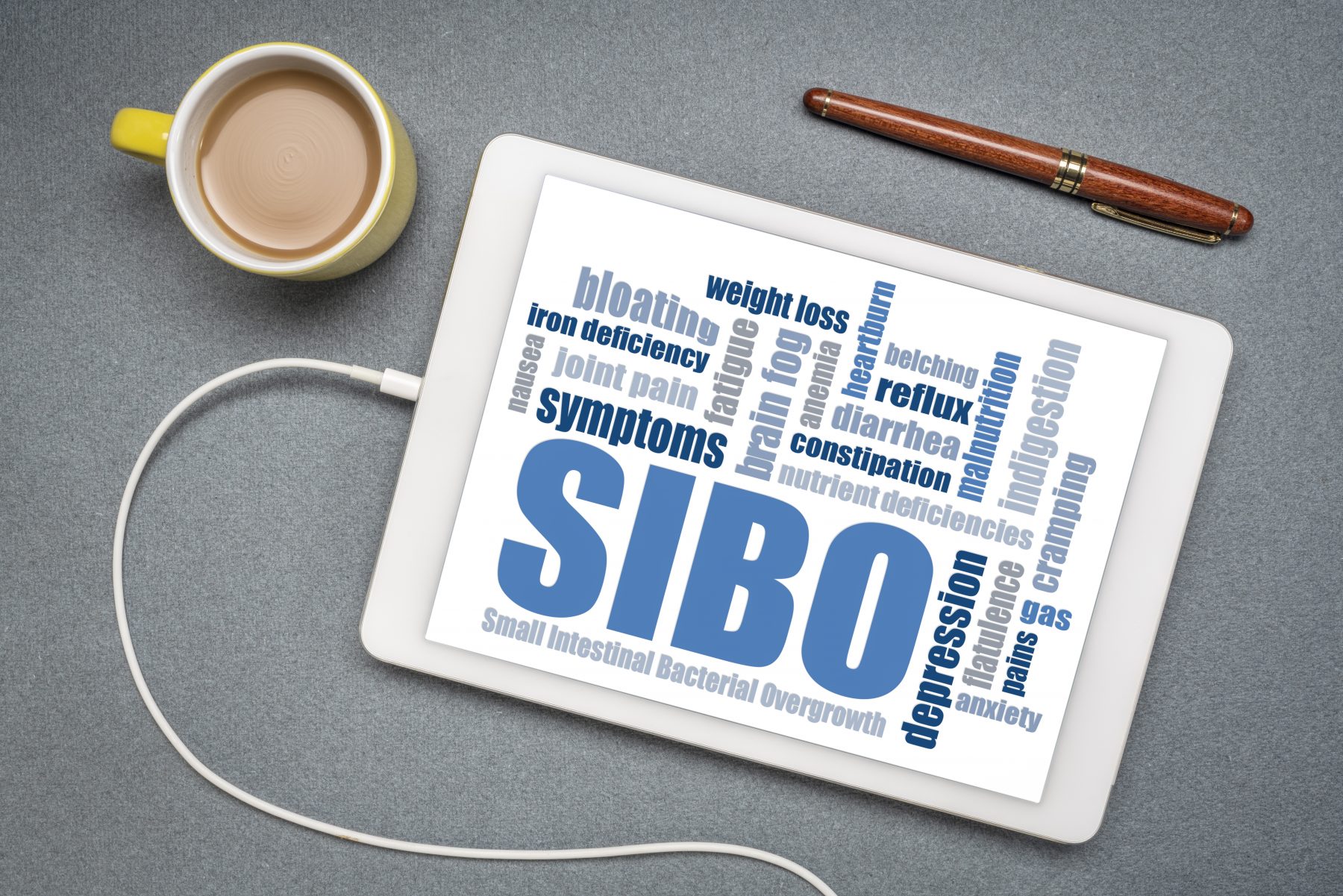 SIBO, small intestinal bacterial overgrowth word cloud