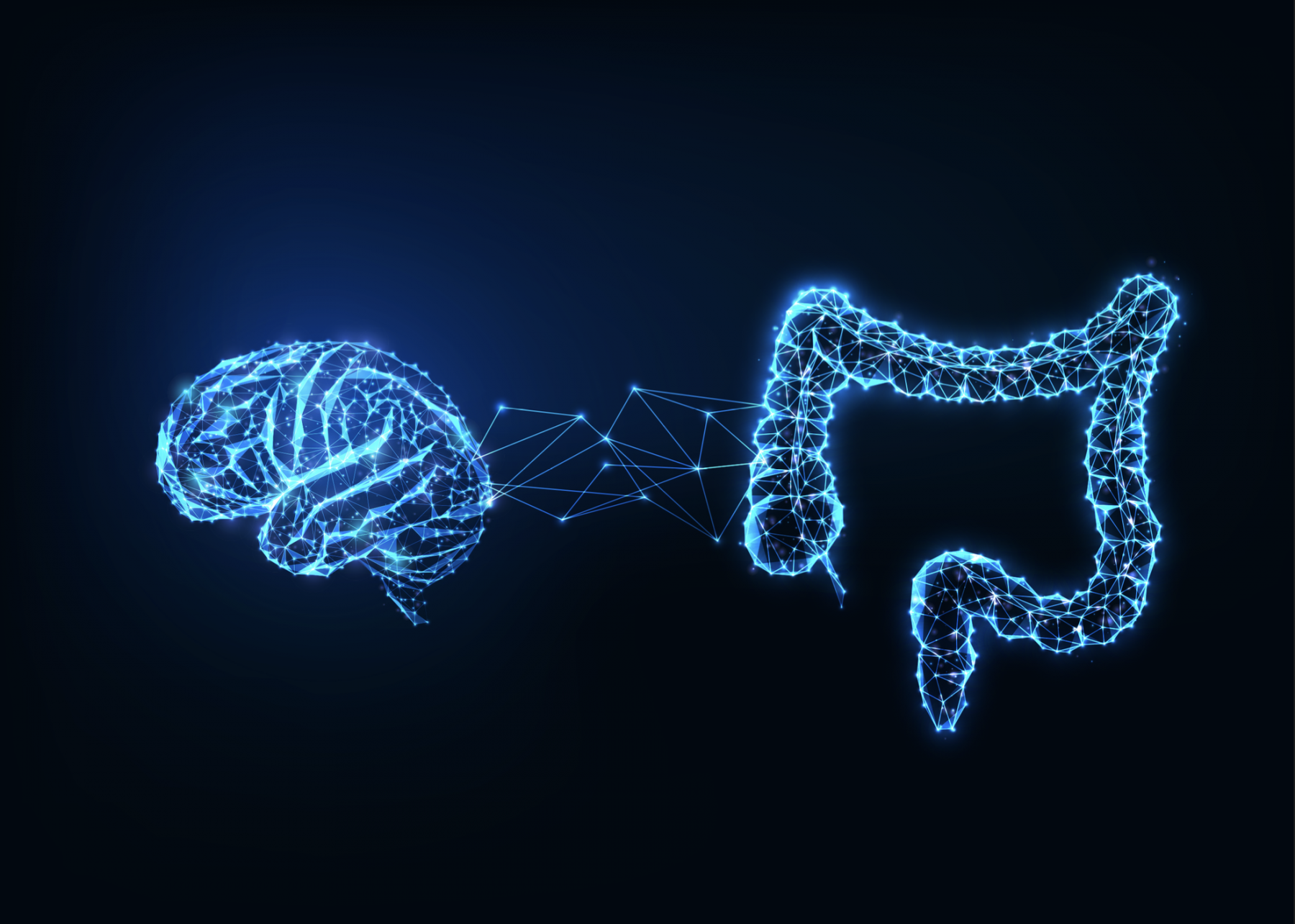 The Gut – Brain Connection