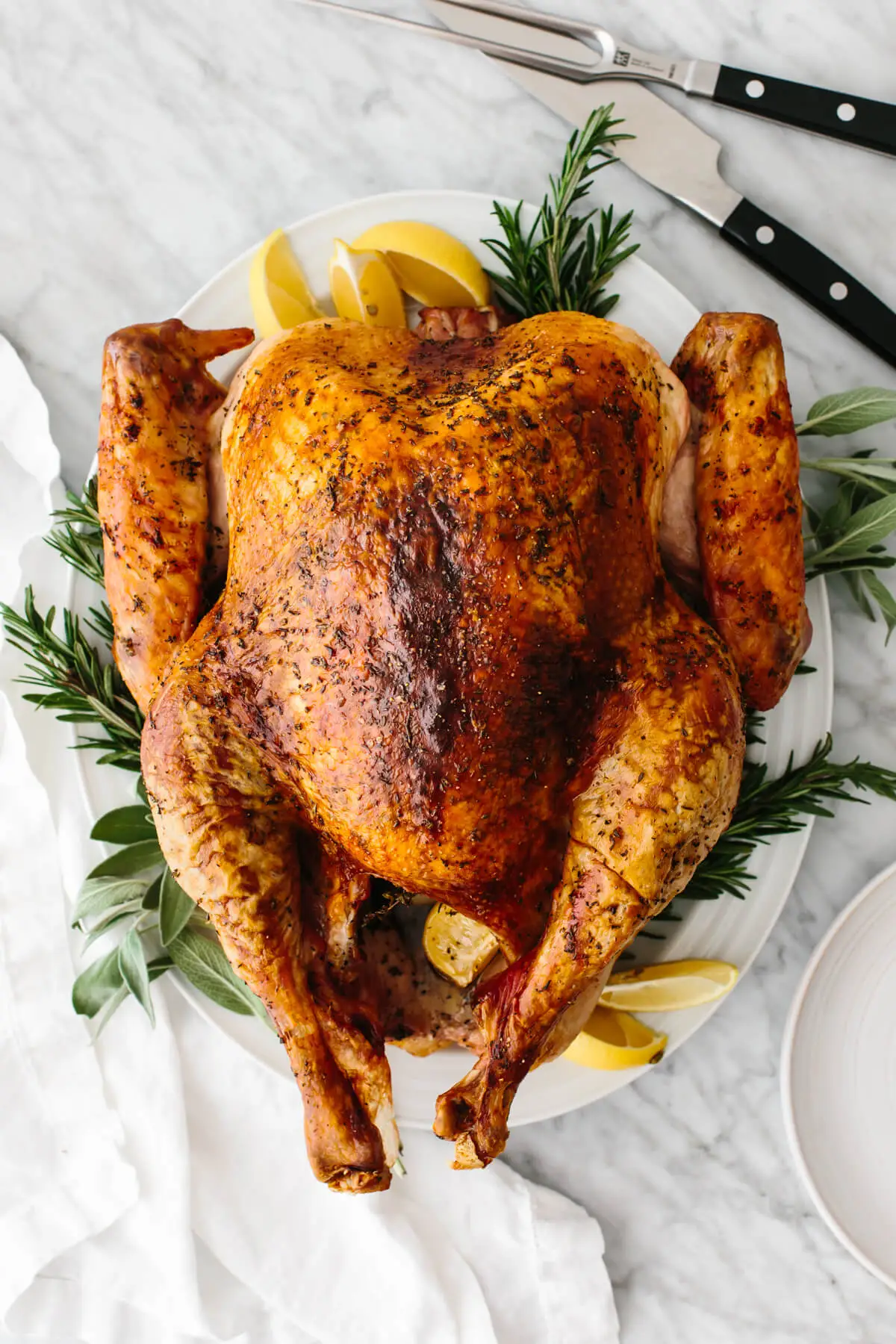 Roast turkey on a dish with carving tools