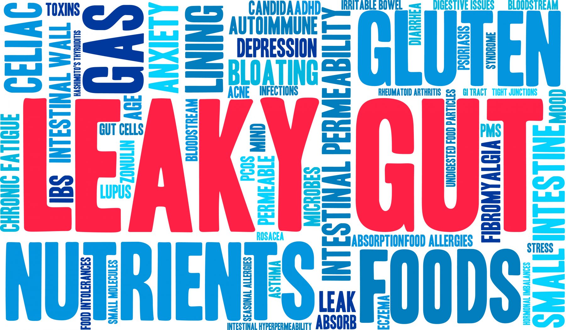 EP 12: Treatment Strategies for Leaky Gut Syndrome