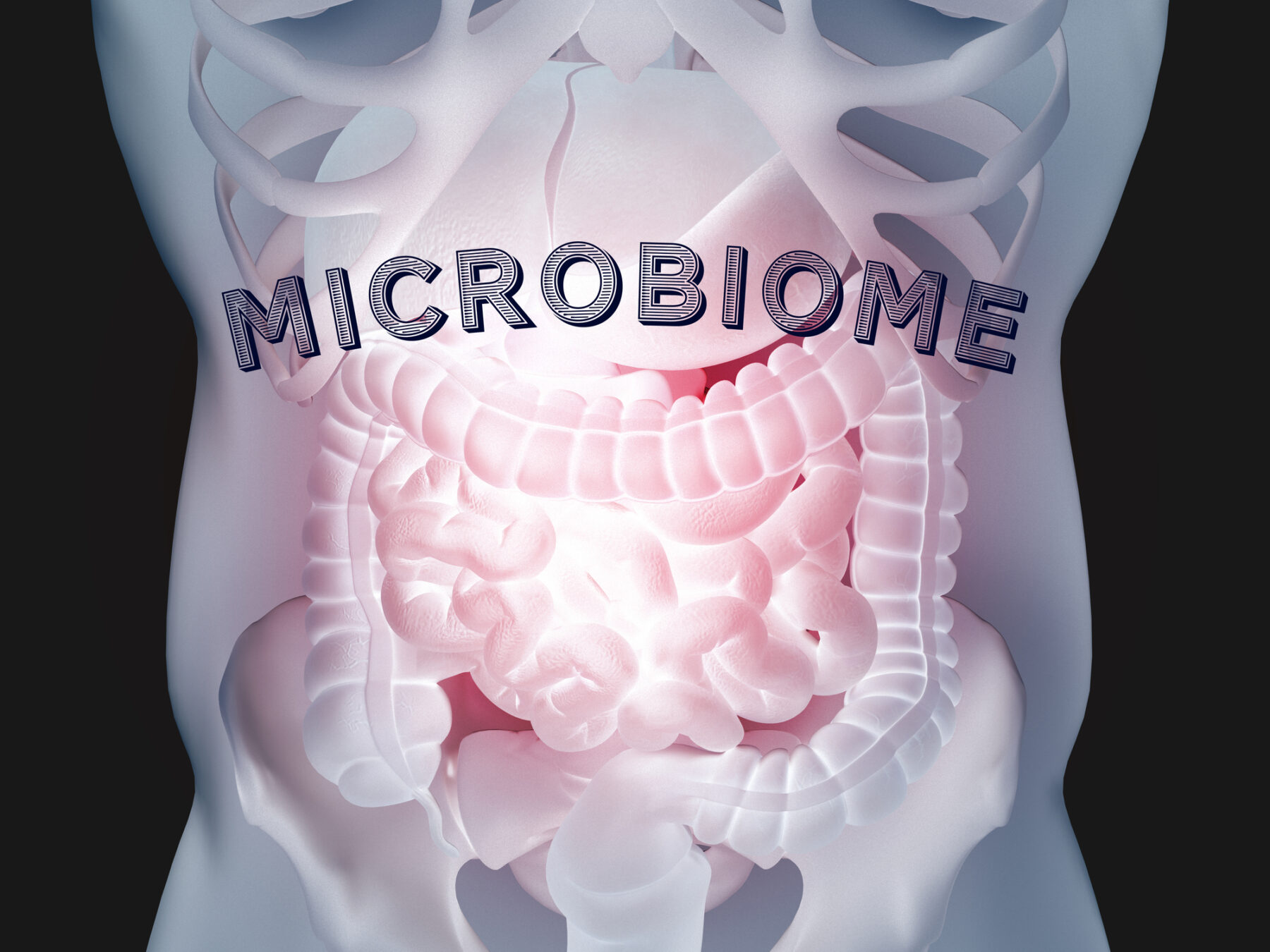 Model of the Human digestive system with the word Microbiome superimposed